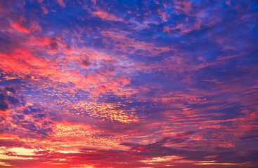 West Coast Dramatic Sunset. Sunset over the sea. Stanley Park, Vancouver, British Columbia, Canada