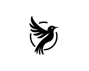 Flying bird logo design icon symbol vector illustration.