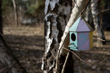 Charming handcrafted birdhouse hanging on tree branch in tranquil forest setting providing cozy nesting spot for various wild birds seeking shelter.