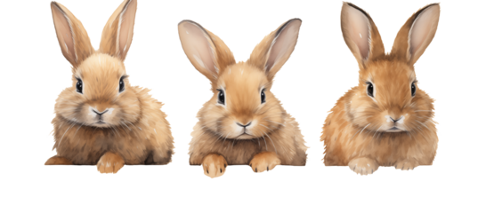 A collection of three watercolor paintings featuring brown, cute rabbits, each showcasing the gentle and adorable nature of the animals in soft, blended colors.