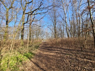 Wonderful Pl&auml;nterwald Landscape in Berlin - Spring Season