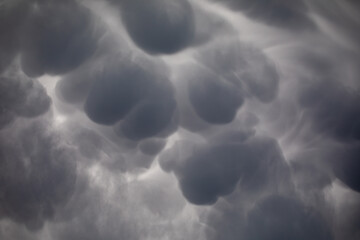 Landscape of Baihaba in summer in Altay region of Xinjiang, China