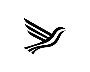 Flying bird logo design icon symbol vector illustration.