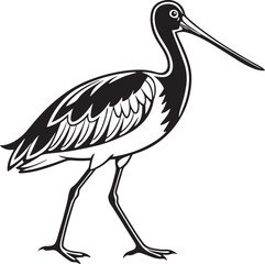 Obraz premium Sylwetka ptaka kulika czarnego wektor