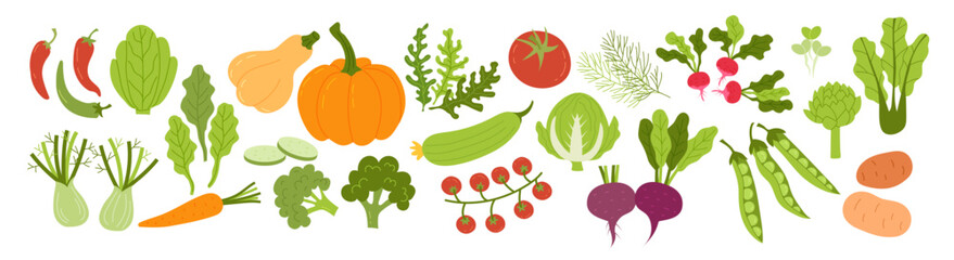 Vegetable icon. Cartoon food cooking ingredients. Green salad, tomato, carrot, fresh radish, spinach and pumpkin. Healthy diet doodle isolated elements. Natural vitamin ingredient. Vector flat set
