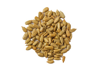 PNG image of the peeled sunflower seeds on the transparent background