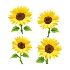 Sunflowers in Bloom: A vibrant collection of four hand-painted sunflowers in full bloom, showcasing their cheerful yellow petals and intricate details.  