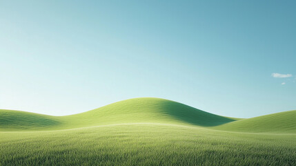 Obraz premium Green grass under the blue sky