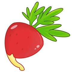 Healthy food for vegetables 
Used in teaching materials and design work 