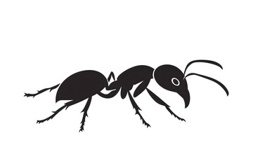 Ant Silhouette: Exploring Insect Anatomy & Behavior
