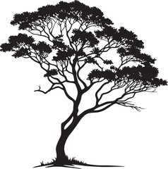 Brazilwood tree silhouette vector illustration