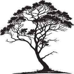 Fototapeta premium Brazilwood tree silhouette vector illustration