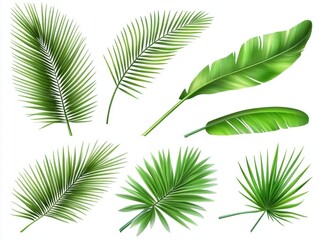 Obraz premium Tropical Leaf Set: Palm, Banana, and More
