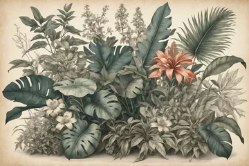 Vintage tropical botanical illustration with lush foliage