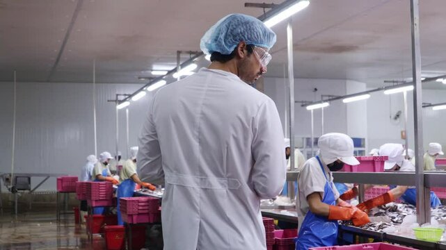 Male foreman walks around inspecting and overseeing the work of selecting clean fresh fish done by foreign workers in the fresh fish raw material room ensure quality canned fish and surimi factory.