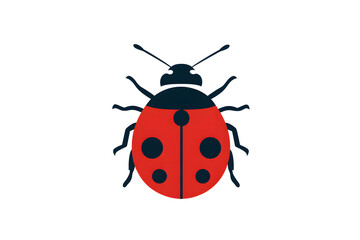 Ladybug: Nature's Tiny Jewel, Insect Anatomy, Detailed Close-Up View.