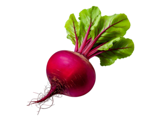 Vibrant red beet with lush green leaves, isolated on white.  Perfect for culinary, health, or agricultural projects. High-resolution image ideal for websites, blogs, and print.