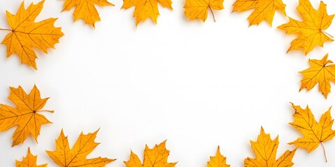 Fototapeta premium autumn leaves frame