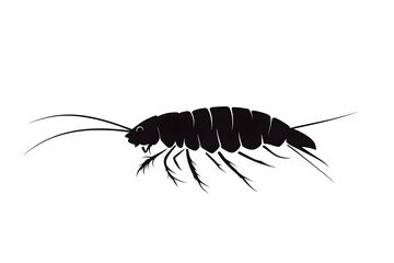 Isopod: Aquatic Creature's Anatomy, Habitat, and Behavior