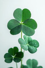 St. Patrick’s Day theme decoration.