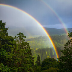 A rare double rainbow in the forest