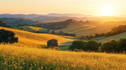 Obraz premium Golden Hour Landscape Rolling Hills and Grassy Meadows at Sunset