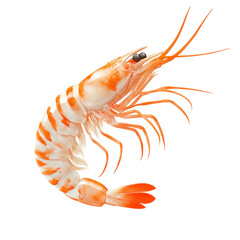 3D icon of Ghost shrimp isolated on transparency background