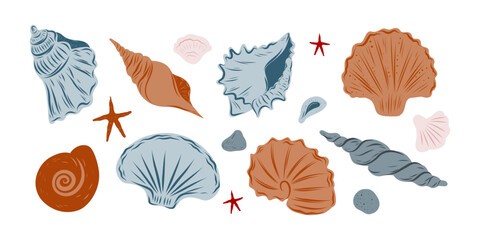 Seashells set, hand drawn seashells of different shapes and colors