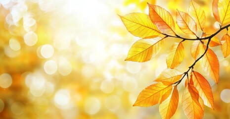Autumn foliage close-up with bokeh effect, creating a serene and peaceful forest atmosphere in blurred background