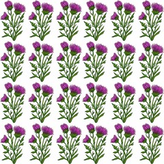 A watercolor seamless pattern featuring vibrant purple thistle flowers with green stems and leaves, arranged in a grid format on a white background.