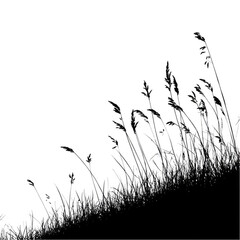 Delicate Grass Silhouettes Against Soft Sunset Sky Background