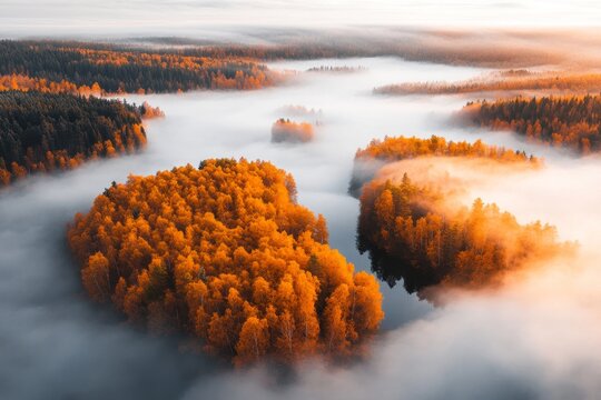 A bird-eye view of clouds rolling over a dense forest, with the sunlight creating golden highlights and deep shadows