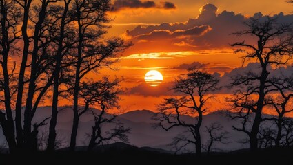 Naklejka premium Astonishing golden sunset over the silhouettes of black trees. Beautiful landscape scenery background wallpaper featuring a golden sunset. Golden sunset with mountains and trees against dramatic cl...