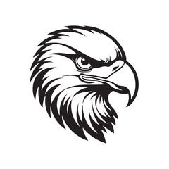 Fototapeta premium Powerful Black and White Eagle Head illustration