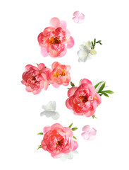 Beautiful fresh flowers falling on white background