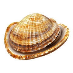 Fototapeta premium 3D icon of Soft-shell clam isolated on transparency background