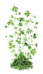 Fresh green parsley leaves falling on white background