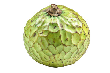 Obraz premium Whole fresh breadfruit isolated on transparent background