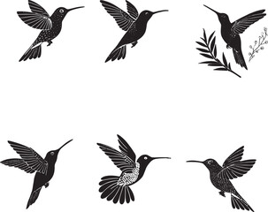 Elegant Hummingbird Silhouettes in Flight
