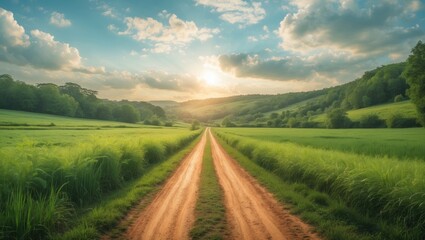 Obraz premium Landscape of dirt road in countryside featuring a meadow. Road during rainy season. Side view of gravel road in forest.