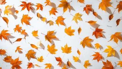 Flying autumn leaves against a white isolated backdrop.