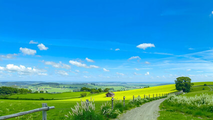 Road lane and deep blue sky. Nature design