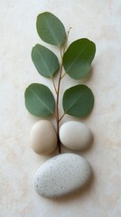 Serene composition of eucalyptus branch and smooth stones on textured surface conveying wellness and natural beauty in a minimalist style
