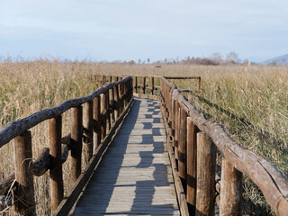 Obraz premium beautiful view of the naturalistic oasis of lake massaciuccoli in the province of lucca tuscany