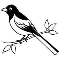 bird on a branch