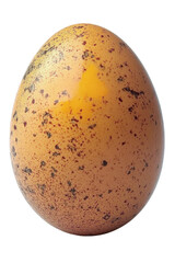 speckled easter egg - isolated on white background