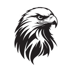 Fototapeta premium Powerful Black and White Eagle Head illustration