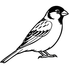 bird on a branch