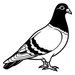 dove of peace