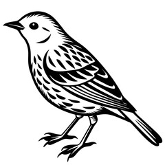 bird on a branch